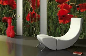 Klatschmohn
